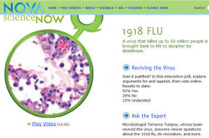 1918 Flu