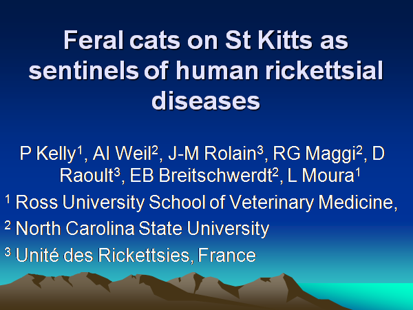 Feral cats on St Kitts as sentinels of human rickettsial diseases